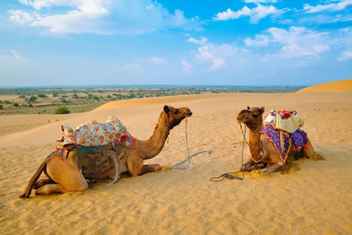 Kutch Image